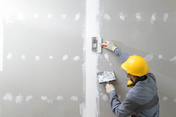 Best Post-Construction Mold Inspection  in Great Notch, NJ