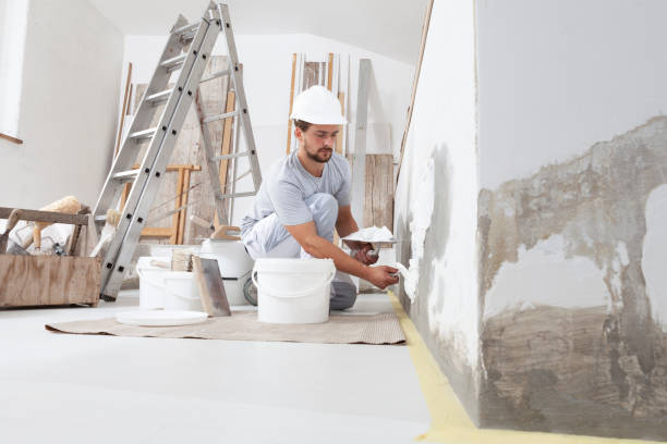 Best Black Mold Removal  in Great Notch, NJ