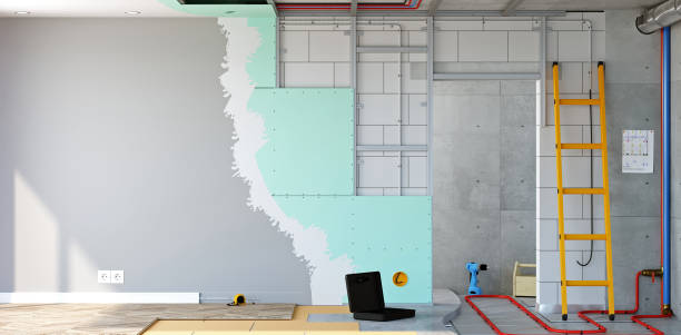 Best Basement Mold Removal  in Great Notch, NJ