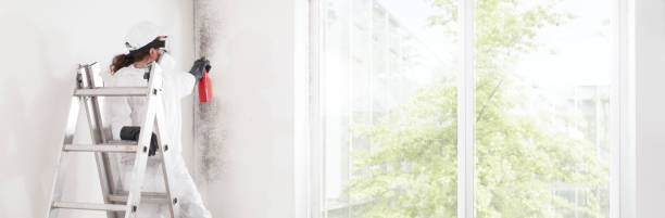 Best Residential Mold Inspection & Testing  in Great Notch, NJ